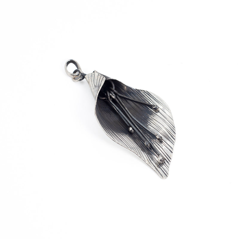 Conjunto Aretes Y Colgante de Plata Alcatraz