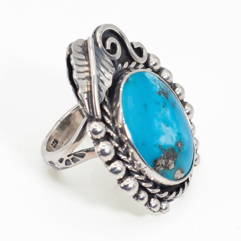 Anillo de Plata Pacífico