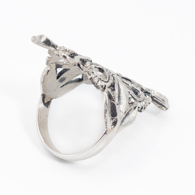 Anillo de Plata Raíces